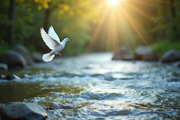 Tranquil Outdoor Scene: River or Lake with White Dove Symbolizing the Holy Spirit and the Feast of the Immaculate Conception