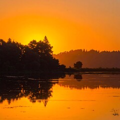 Warm sunset reflects on calm water with silhouetted trees.