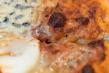 gros plan sur la pizza