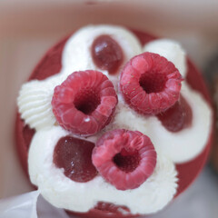 vue sur le framboisier