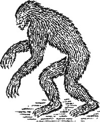 Obraz premium Bigfoot sasquatch walking pose, vintage stipple dotwork vector illustration, monochrome engraving style cryptid forest creature