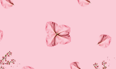 delicate pink flower petal with intricate vein pattern, isolated on pastel pink background