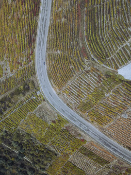 Aerial view of a snaking asphalt road cutting through meticulously patterned vineyards, a tapestry of autumnal hues in the Ribeira Sacra, Sober, Lugo, Spain.