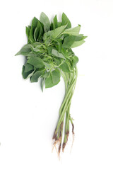 Close up of fresh Amaranthus leaves on white background