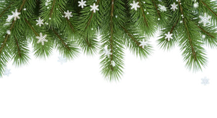 Festive christmas pine branches with delicate snowflakes against a creating a winter holiday border for seasonal designs and greetings