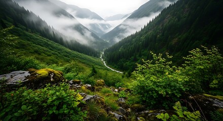 Misty mountain valley with lush green forest