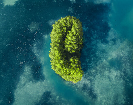 Aerial view of a lush green island surrounded by turquoise waters, creating a mesmerizing contrast of colors, Goidhoo, Baa Atoll, Maldives.