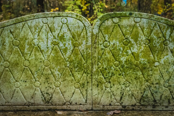 Moss-covered stone wall in a tranquil forest, nature's artwork displayed in vibrant green tones