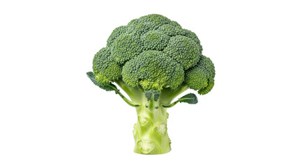 Isolated green broccoli stalk, raw ingredient for a vegan diet, healthy food choices, nutritious...