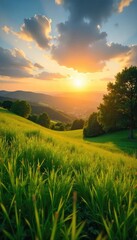 Naklejka premium Golden hour sunlight bathes a lush green landscape as the sun climbs higher in the summer sky Perfect for summer, vacation, and nature themes , warm, sunny