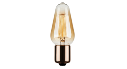 Isolated vintage-style LED lightbulb with Edison-style filaments, energy-saving bulb, retro lamp