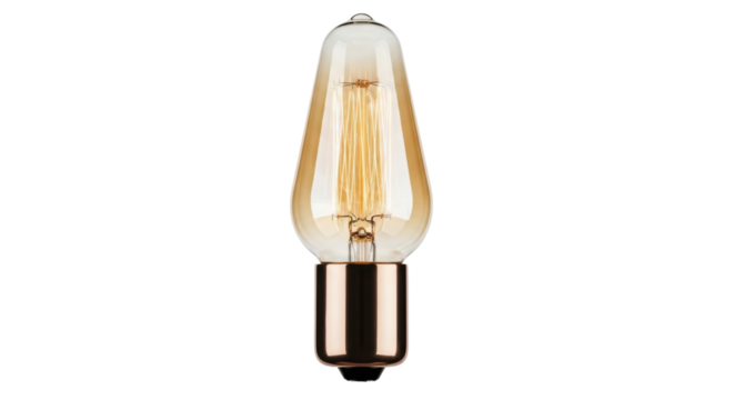 Isolated vintage-style LED lightbulb with Edison-style filaments, energy-saving bulb, retro lamp - Powered by Adobe