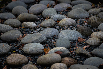 Smooth River Stones with Autumn Leaves on Ground – Natural Texture and Minimalist Earth Tone Composition