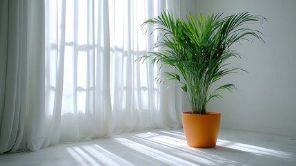 Bright room with palm plant by window
