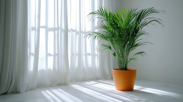 Bright room with palm plant by window