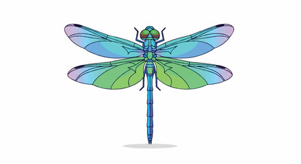 Colorful dragonfly vector illustration featuring bold wings and a vibrant body, presented in a flat 2D style, perfect for representing nature, wildlife, and insect concepts.