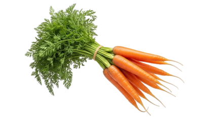 Fresh carrots with green tops healthy food vegetable bunch on transparent background