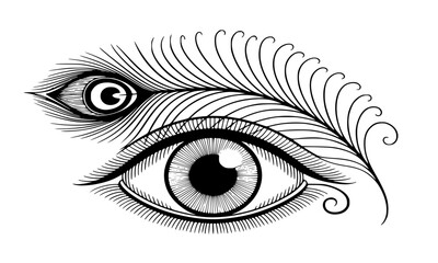Obraz premium Intricate Hand-Drawn Design of Two Eyes with Decorative Feather and Line Art Detailing, Stylized Vector Illustration of Vision, Mysticism, and Esoteric Symbolism on White Background.