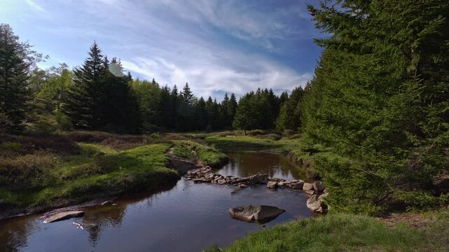 A scenic view of the Left Fork of Red Creek in the Dolly Sods Wilderness, where the Blackbird Knob Trail crosses. Calm water flows past grassy banks and pine trees under a blue sky.