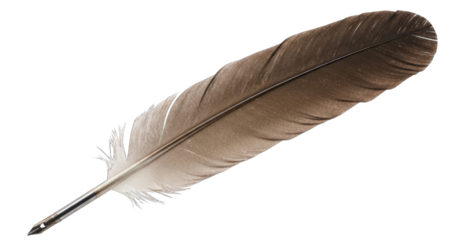 A Single Brown and White Striped Bird Feather With Intricate Patterns Isolated on a Transparent Background Showcasing Natural Detail and Texture