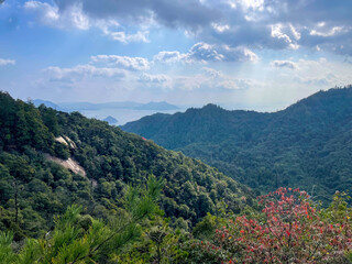 Panoramic forest mountain view with cloudy sky.