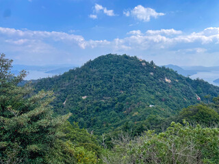 Naklejka premium Green forest mountain peak under blue sky.