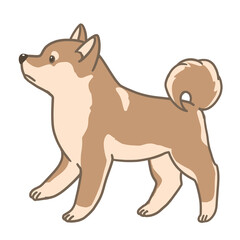 立ち姿のシンプル柴犬イラスト