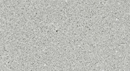 Light Gray Speckled Surface Texture - Close up of a speckled light gray surface, ideal for backgrounds and textures