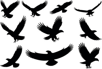 Obraz premium Eagle silhouettes flying, birds of prey, hawk falcon raptor, wings spread, talons ready, black vector set, isolated white background, collection