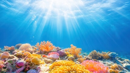 Fototapeta premium Underwater Paradise: Sunbeams cascade through crystalline waters, illuminating a vibrant coral reef teeming with life, a mesmerizing display of nature's artistry.