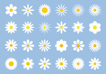 A set of chamomile flower icons. Floral abstract icons isolated, vector illustration, flat design. A botanical simple graphic element for design, decoration, labels. Blooming white garden plant