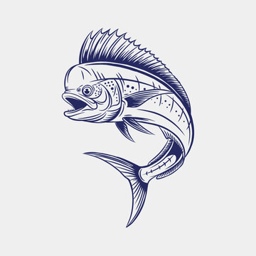 Jumping mahi mahi fish vector illustration
