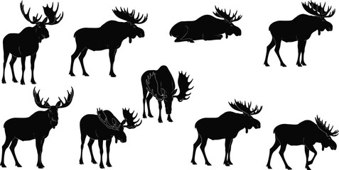 Moose silhouettes, various poses and antler styles, black vector animals, forest wildlife illustration, minimal design, nature concept, educational rural art