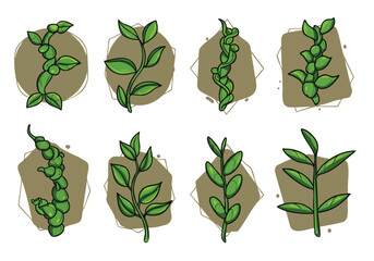 Collection of fresh green botanical illustrations showcasing diverse plant branches and leafy sprigs for organic designs