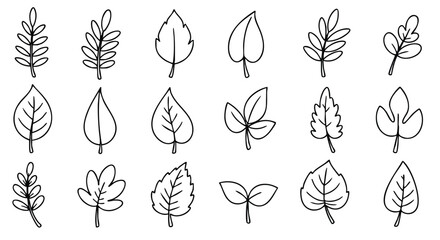 Collection of diverse hand-drawn outline leaves representing various plant foliage styles and organic design elements