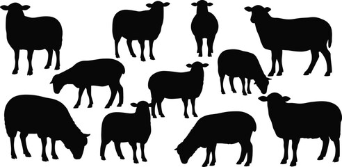 Sheep silhouettes, various poses and grazing positions, black vector animals, farm livestock illustration, minimal design, nature concept, educational rural art