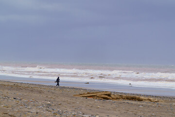 A lone walker on a windswept Spurn Head beach during stormy weather conditions, Yorkshire,UK.