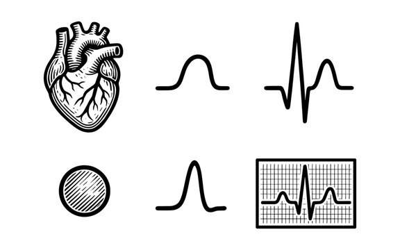 Medical heartbeat line art with anatomical heart and ecg graph elements