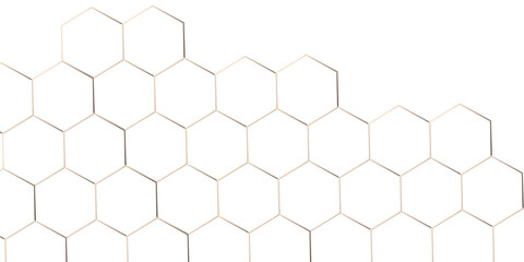 Abstract background with lines. white texture background. hexagon abstract background. Surface polygon pattern with glowing hexagon paper texture and futuristic business.