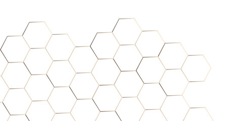 Abstract background with lines. white texture background. hexagon abstract background. Surface polygon pattern with glowing hexagon paper texture and futuristic business.