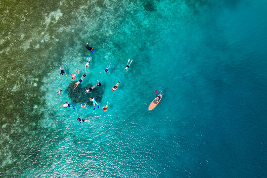 Aerial view of snorkelers enjoying the vibrant turquoise waters near the reef, a paddle board floating nearby, Nadi, Western Division, Fiji.