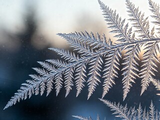 Extreme Macro Photo of Ice Frost Crystals on a Cold Window Pane
