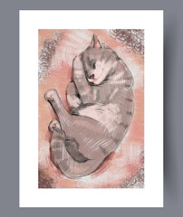 Comfortable domestic cat resting peacefully with gentle lines