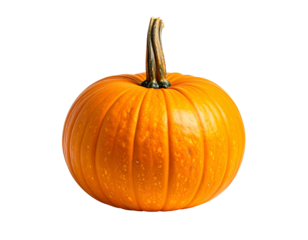 Vibrant orange gourd with ribbed surface and stem