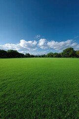 Obraz premium Vast green meadow under clear blue sky with white clouds and lush trees