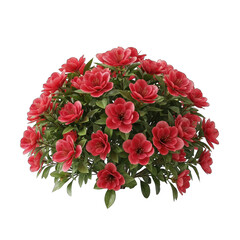 Abundant Lush Red Peony Bush With Green Foliage Isolated On Transparent Background Vivid And Bright Floral Display