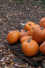 Pumpkins on Roadside Stand