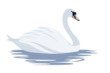 Fototapeta premium Swan cartoon animal white.