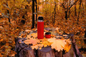 Autumn warmth, a red thermos with hot tea and a mug on a tree stump, among bright yellow leaves in a sunny forest. The perfect moment for coziness and outdoor recreation.