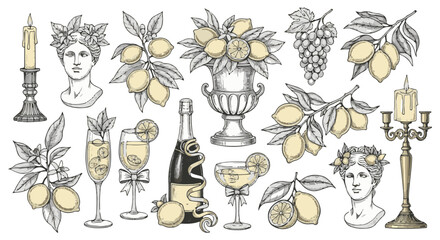 Aesthetic botanical sketch: A collection of meticulously drawn lemons, a champagne bottle, vintage glasses with lemons and cocktails, a candleholder, and a neoclassical statue.